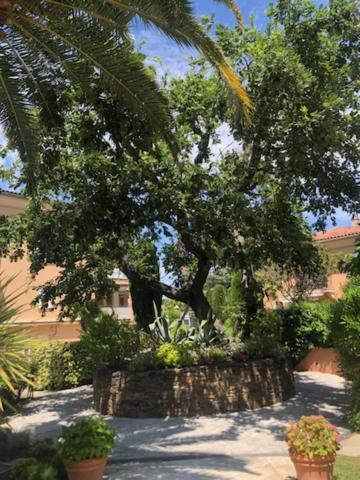 Belle résidence au centre de Saint Tropez avec piscine et garage Extérieur photo